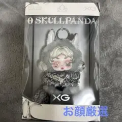 SKULLPANDA スカルパンダXG お顔厳選　正規品　POPMART