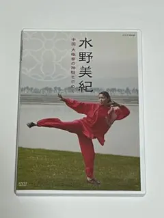 少林寺拳法 DVDセット 4枚組 - メルカリ