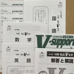 2回分 解答用紙付 2025年度 Vもぎ 進学研究会 都立 高校受験 2