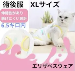 Item thumbnail for item 0bd1040c-74c8-4ff9-b672-608c06d3f938