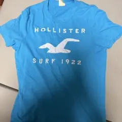 Hollister Tシャツ ブルー Lサイズのサムネイル