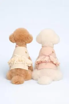 Item thumbnail for item 54dcfd1c-99fd-410c-a44a-80ffbd51d404