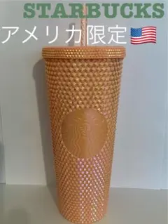 スターバックス タンブラーアメリカ限定 日本未発売レア品