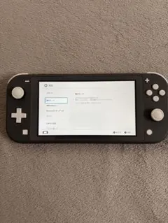 Z*A様 【動作確認済】Nintendo Switch Lite グレー 充電器 - メルカリ