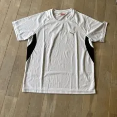 PUMA ホワイト Tシャツ Lサイズ　メンズ　スポーツ
