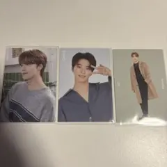 ディノ　トレカ　セット