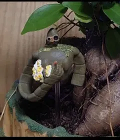 2025年最新】ラピュタ プランターの人気アイテム - メルカリ