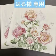 はる様 リクエスト 2点 まとめ商品