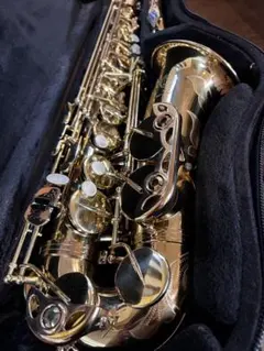 希少名器】 セルマー USA アルトサックス AS300 管楽器 吹奏楽 アルト