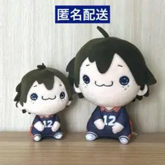 ☆匿名配送☆ 2点 ハイキュー もちぴこぬいぐるみ＆ もちぴこマスコット 山口忠