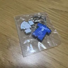 Item thumbnail for item a20136db-ff15-4aa5-baa1-fc51acd3dc52