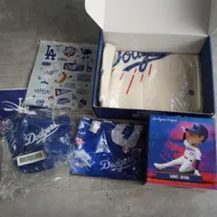本人支給　非売品　大谷翔平選手 NB エルボーガード、アームカバー証明書付 正規品 本人支給 非売品 大谷翔平 エルボーガード、アームカバー証明