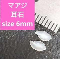 マアジ 耳石 お守りパワーストーン天然石宝石開運受験F37