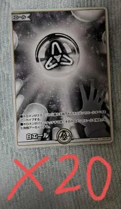 ホロカ　白エール　16枚セット