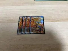 2026年最新】モルトドリーム 4枚の人気アイテム - メルカリ