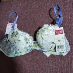 Wing ブラジャー B65のサムネイル