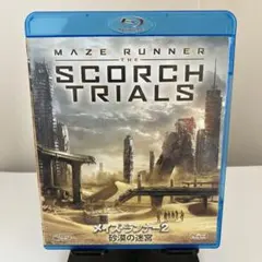 メイズ・ランナー2 砂漠の迷宮 Blu-ray & DVD ２枚