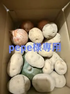 pepe様専用　新鮮な野菜セット（ジャガイモ、玉ねぎ、カボチャ）