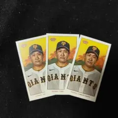 菅野智之 読売ジャイアンツ トレカ 3枚セット NPB 206