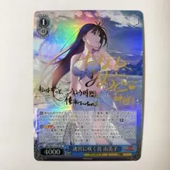 2026年最新】SP ヴァイスシュヴァルツの人気アイテム - メルカリ