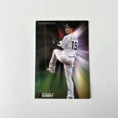 Item thumbnail for item e5710826-f57a-40d0-aefb-663897145d7e