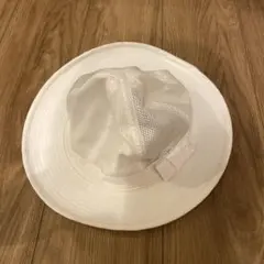 Item thumbnail for item 83393fd9-c9b6-4342-8e1c-2898bcd0885c