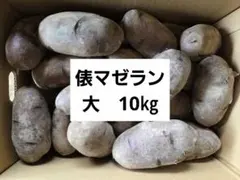 熊本県産 メークイン 秀品 無農薬栽培 10kg - メルカリ