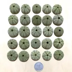 みち様 リクエスト 3点 まとめ商品