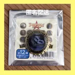 ゴールデンカムイ シークレット王冠缶バッジA ヴァシリ 頭巾ちゃん