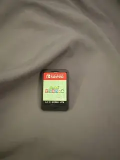 どうぶつの森ジャンク品Nintendo Switch