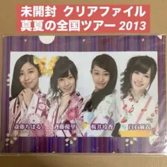 Item thumbnail for item 1e0c06e2-da1a-4eeb-9579-9da31f1324d7