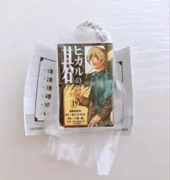 ヒカルの碁 コミックスチャーム 19巻 進藤ヒカル