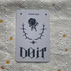 StrayKids スピーカー チャンビン Doit SPEAKER トレカ