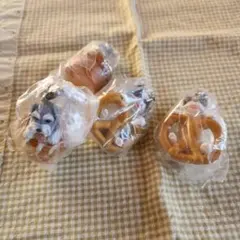 ☆いぬぱん☆新品☆