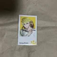 サニー・ブリスコー