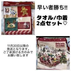 ディズニー クリスマス ウォッシュタオル 巾着 2点セット