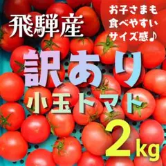【訳あり小玉品】飛騨産トマト 2キロ 規格外 トマト農家直送のサムネイル