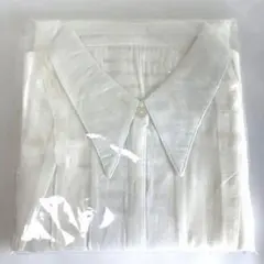 Item thumbnail for item dfb2d11b-1bfc-443e-a419-efcd0e648be5