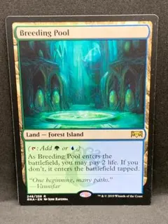 2026年最新】mtg 繁殖池 foilの人気アイテム - メルカリ
