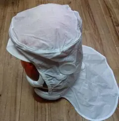 Item thumbnail for item 6815e3fa-dcc9-49c8-82dc-a7fbb45d7bff