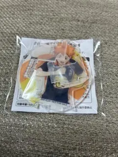 カレーメシxハイキュー!! アクリルスタンド　日向翔陽