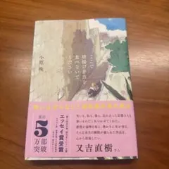 ここで唐揚げ弁当を食べないでください　小原晩