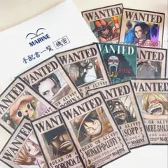 ワンピース 麦わらストア 手配書12枚セット ファイルつき ブロマイド