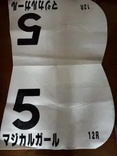 マジカルガール 実使用ゼッケン 5