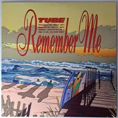 TUBE　チューブ　Remember Me　レコード　LP　シティポップ