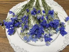 アリス様 リクエスト 2点 まとめ商品