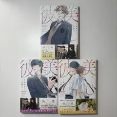 美しい彼 ３巻セット