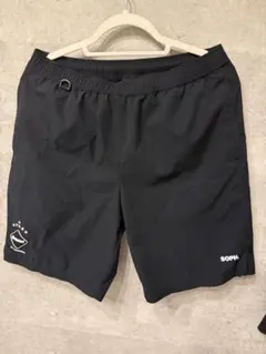 Item thumbnail for item 47500f4d-8dc4-4d7e-a502-262b4fb53333