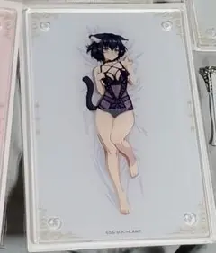 完売品　異世界迷宮でハーレムを×ドンキホーテ　ギミックアクリルパネル　ロクサーヌ 異世界迷宮でハーレムを」×ドン・キホーテ 限定コラボグッズ発売