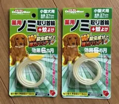 Item thumbnail for item 3fabc983-85c3-46f8-905a-19b19d2490b6